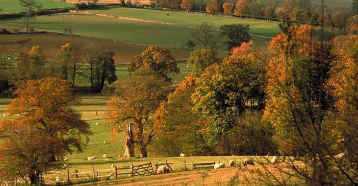 Escape to the Cotswolds